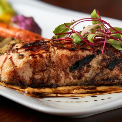 YCB Salmon